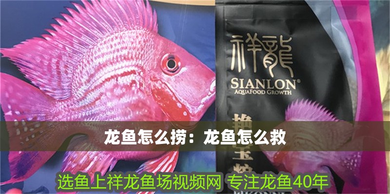 龍魚怎么撈：龍魚怎么救