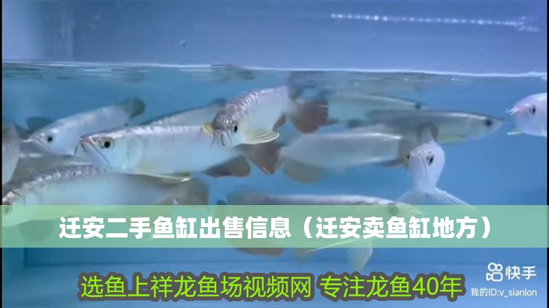 遷安二手魚缸出售信息(遷安賣魚缸地方) 龍魚百科 第1張 遷安二手魚缸出售信息(遷安賣魚缸地方) 遷安二手魚缸出售信息(遷安賣魚缸地方) 龍魚百科 第1張