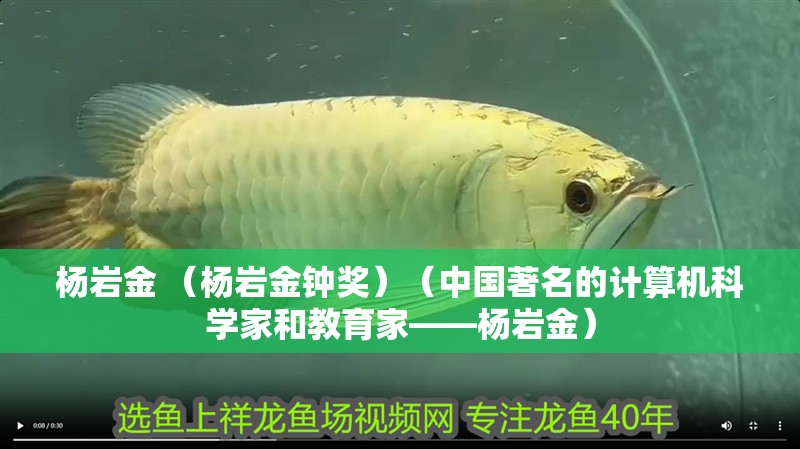 楊巖金 （楊巖金鐘獎）（中國著名的計算機科學家和教育家——楊巖金）