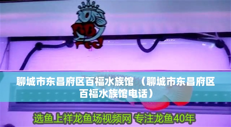 聊城市東昌府區(qū)百福水族館 （聊城市東昌府區(qū)百福水族館電話）