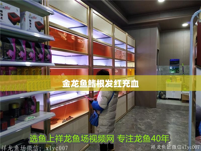 金龍魚鰭根發(fā)紅充血