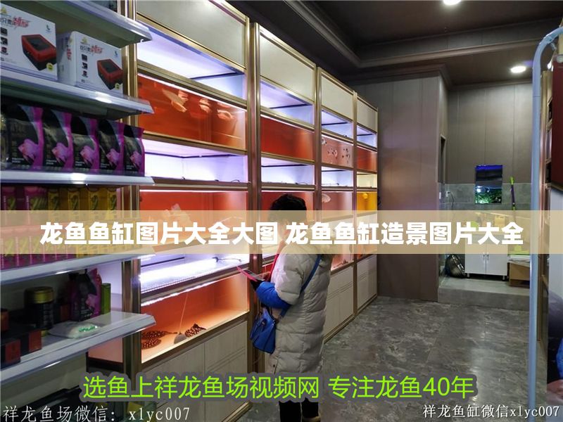 龍魚魚缸圖片大全大圖 龍魚魚缸造景圖片大全