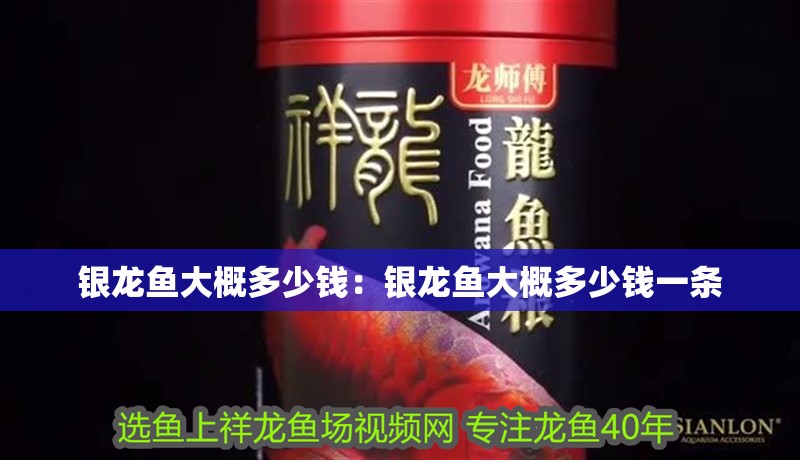 魚(yú)缸過(guò)濾器選購(gòu)指南:自制魚(yú)缸過(guò)濾器魚(yú)缸上置過(guò)濾器對(duì)于養(yǎng)魚(yú)愛(ài)好者的必備知識(shí) 銀龍魚(yú)大概多少錢:銀龍魚(yú)大概多少錢一條 水族問(wèn)答 銀龍魚(yú)大概多少錢:銀龍魚(yú)大概多少錢一條 銀龍魚(yú)大概多少錢:銀龍魚(yú)大概多少錢一條 水族問(wèn)答