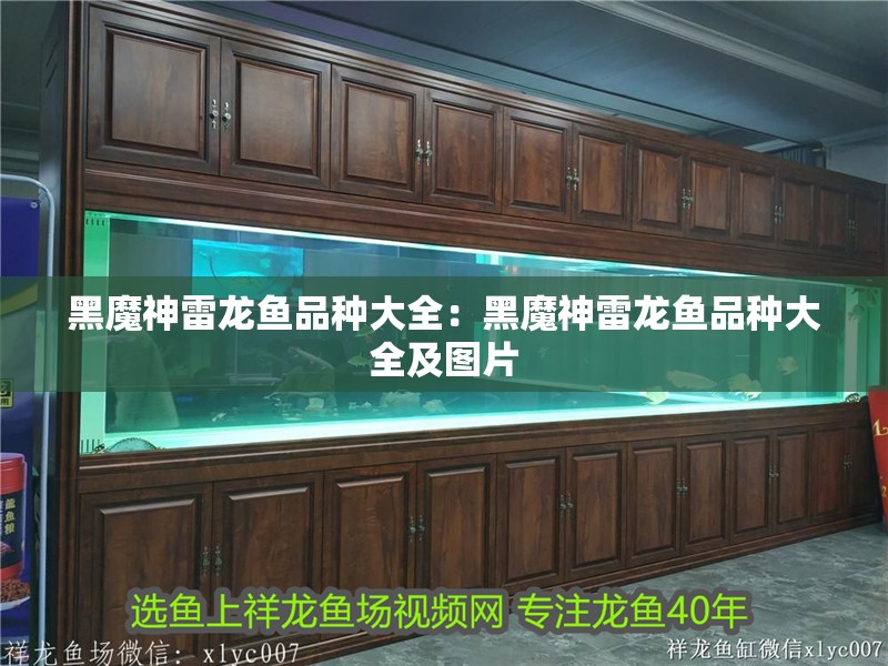 黑魔神雷龍魚品種大全：黑魔神雷龍魚品種大全及圖片