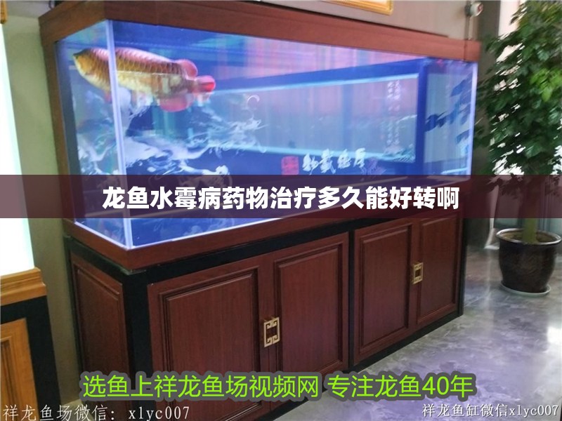 龍魚(yú)水霉病藥物治療多久能好轉(zhuǎn)啊