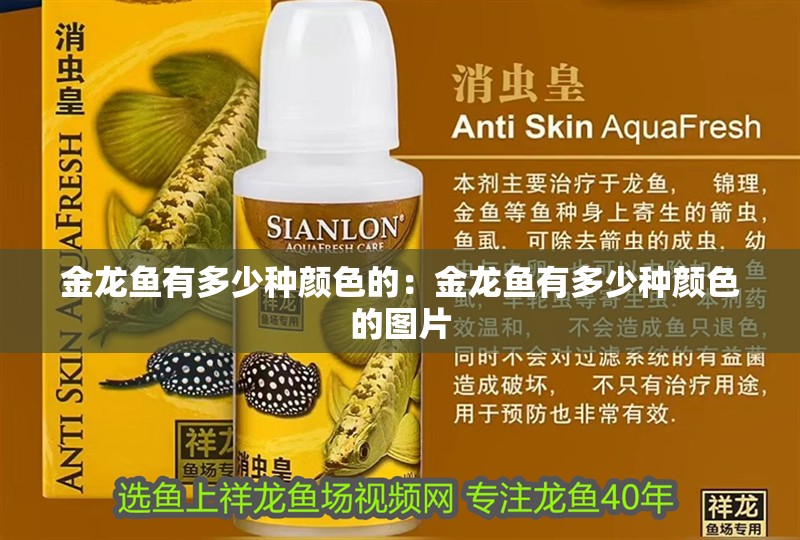 金龍魚有多少種顏色的：金龍魚有多少種顏色的圖片
