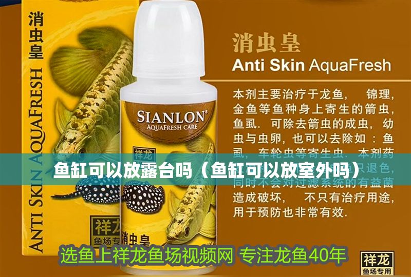 魚缸可以放露臺嗎（魚缸可以放室外嗎） 魚缸可以放露臺嗎（魚缸可以放室外嗎） 龍魚百科 第1張