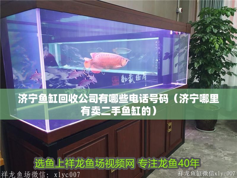 濟寧魚缸回收公司有哪些電話號碼（濟寧哪里有賣二手魚缸的）