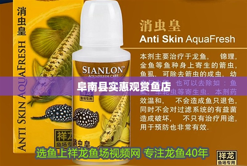 阜南縣實惠觀賞魚店