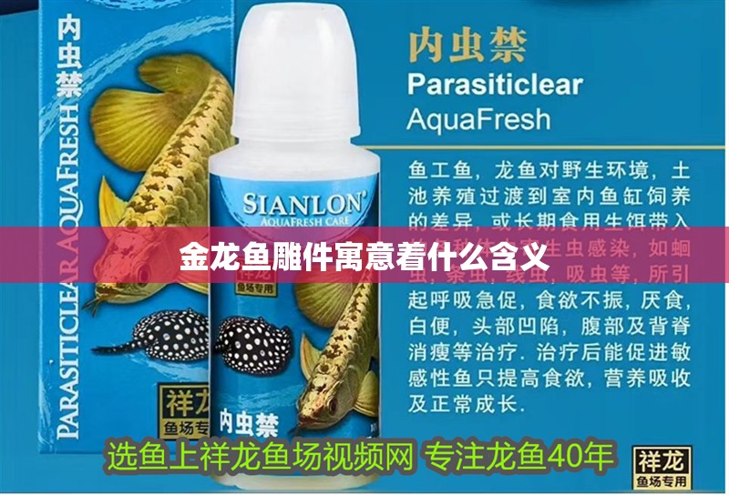 金龍魚雕件寓意著什么含義