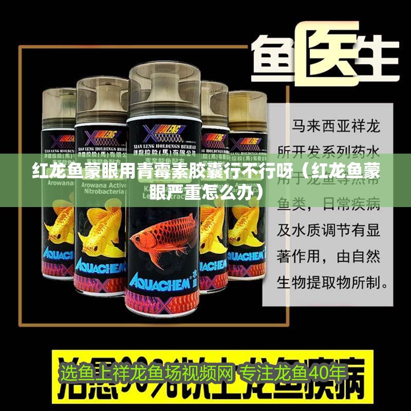 紅龍魚蒙眼用青霉素膠囊行不行呀（紅龍魚蒙眼嚴(yán)重怎么辦）