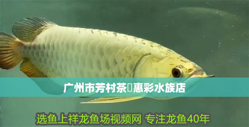 廣州市芳村茶惠彩水族店