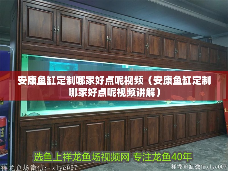 安康魚缸定制哪家好點呢視頻（安康魚缸定制哪家好點呢視頻講解）