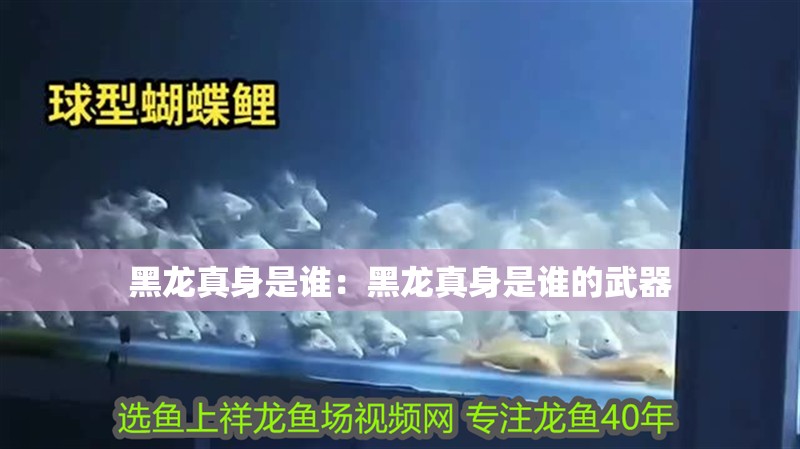 黑龍真身是誰：黑龍真身是誰的武器