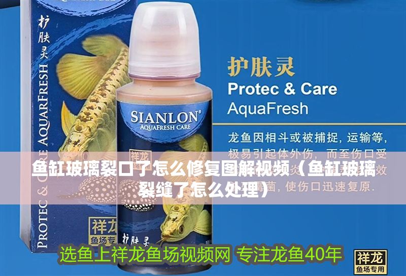 魚缸玻璃裂口了怎么修復圖解視頻（魚缸玻璃裂縫了怎么處理）