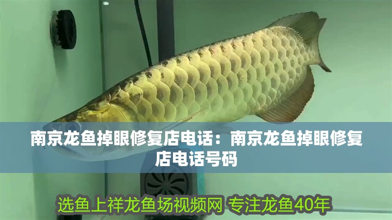 南京龍魚掉眼修復店電話：南京龍魚掉眼修復店電話號碼