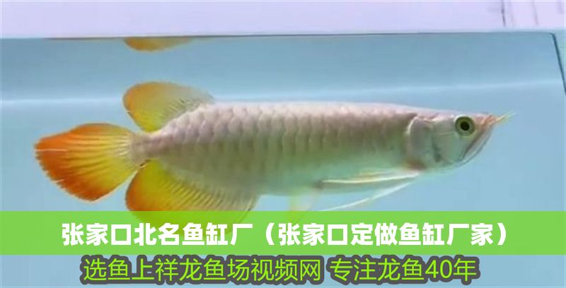 張家口北名魚缸廠（張家口定做魚缸廠家）
