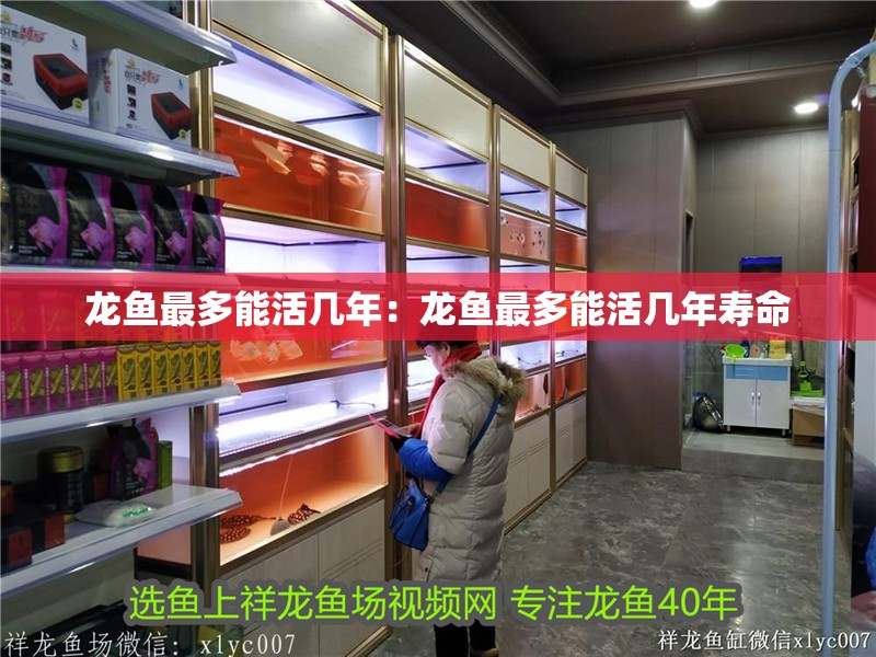 龍魚最多能活幾年：龍魚最多能活幾年壽命