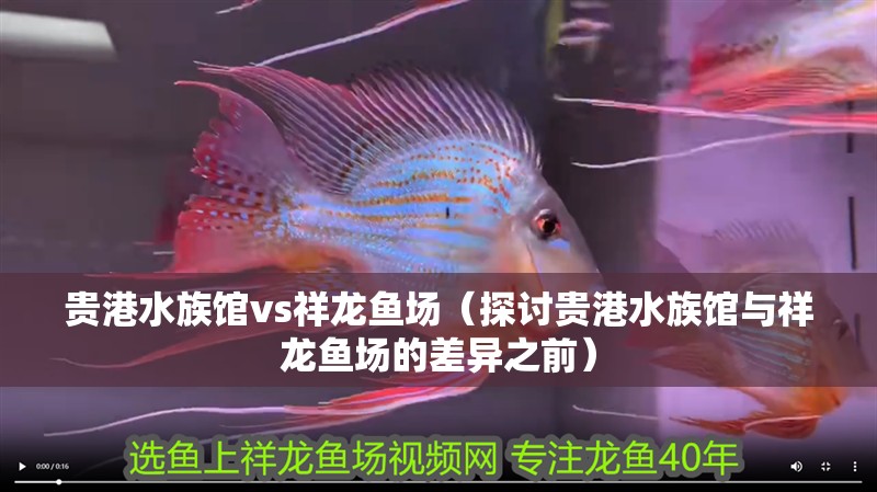 貴港水族館vs祥龍魚場（探討貴港水族館與祥龍魚場的差異之前）