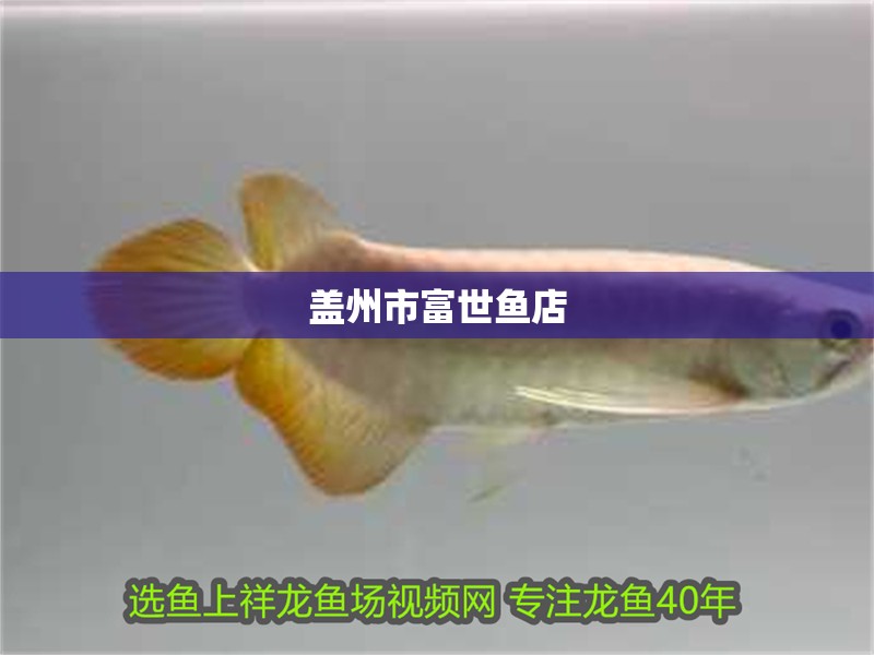 蓋州市富世魚店 蓋州市富世魚店 全國(guó)水族館企業(yè)名錄 第1張