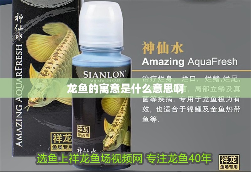 龍魚的寓意是什么意思啊