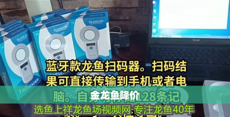 金龍魚降價(jià)