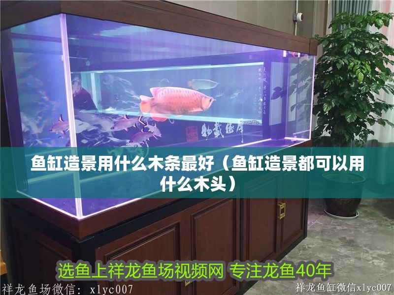 魚缸造景用什么木條最好（魚缸造景都可以用什么木頭）
