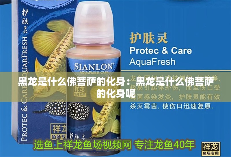 黑龍是什么佛菩薩的化身：黑龍是什么佛菩薩的化身呢