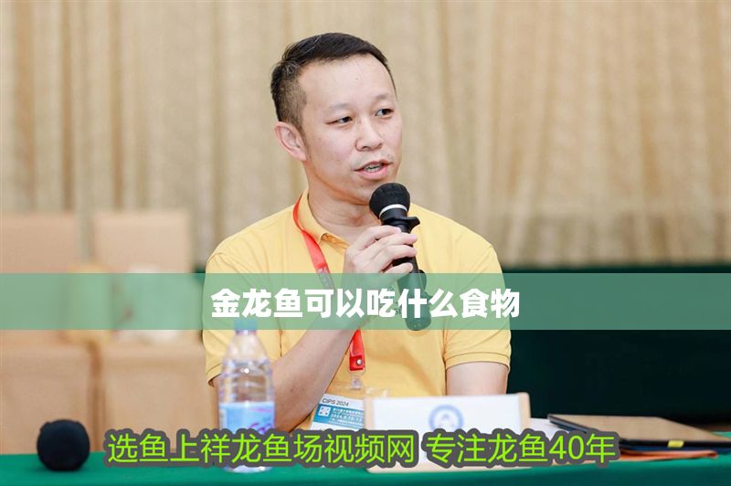 金龍魚可以吃什么食物