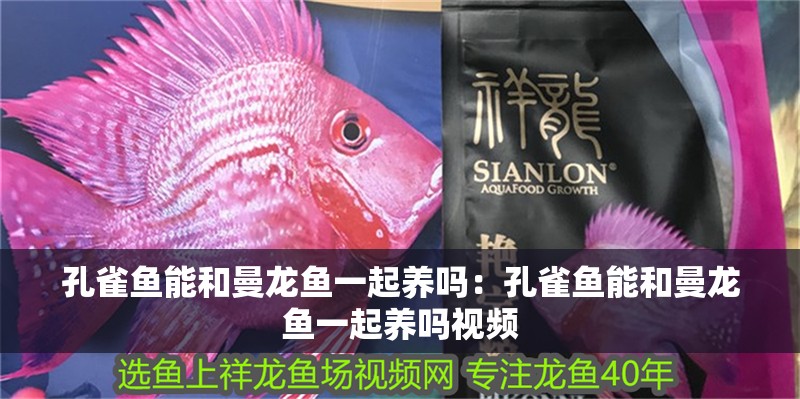 龍魚不愛吃食游動緩慢是什么原因引起的怎么治