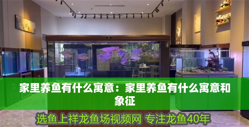 家里養魚有什么寓意：家里養魚有什么寓意和象征