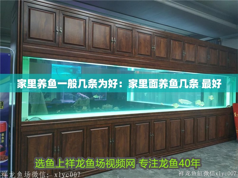 家里養(yǎng)魚一般幾條為好：家里面養(yǎng)魚幾條 最好