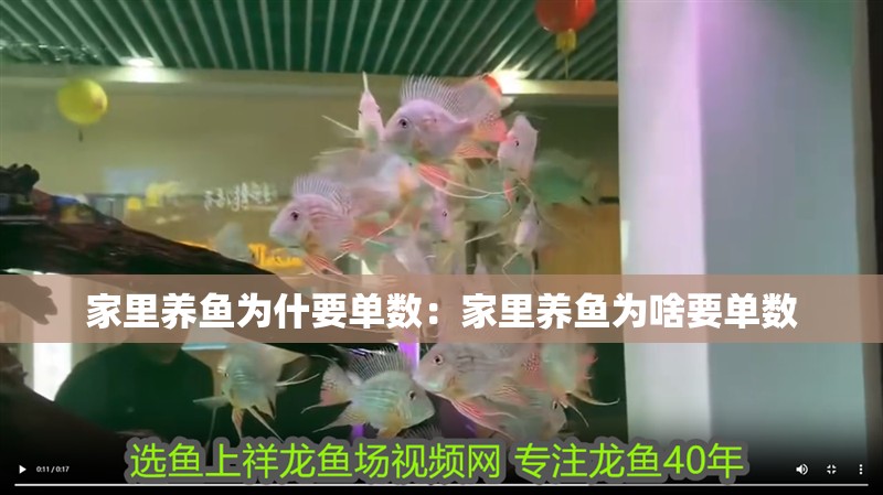 家里養(yǎng)魚(yú)為什要單數(shù)：家里養(yǎng)魚(yú)為啥要單數(shù)