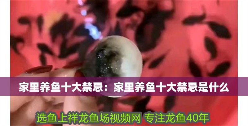 家里養魚十大禁忌：家里養魚十大禁忌是什么