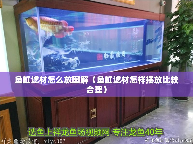 魚缸濾材怎么放圖解（魚缸濾材怎樣擺放比較合理）