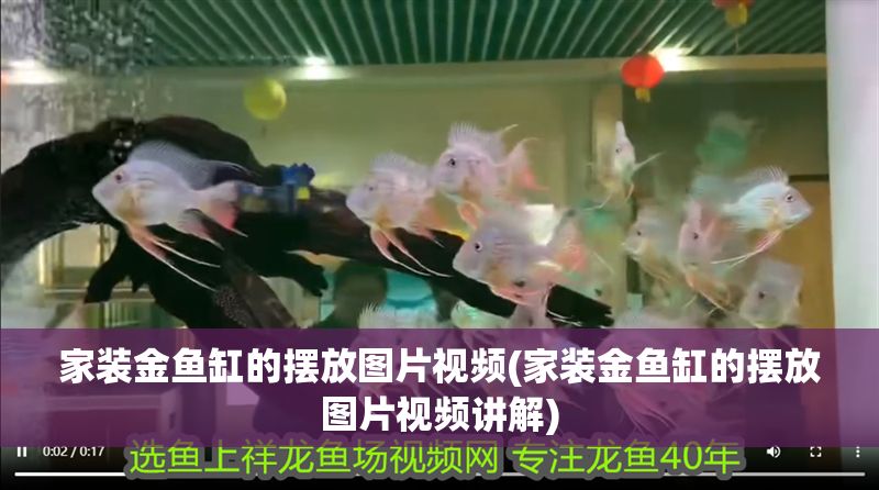 家裝金魚缸的擺放圖片視頻(家裝金魚缸的擺放圖片視頻講解)