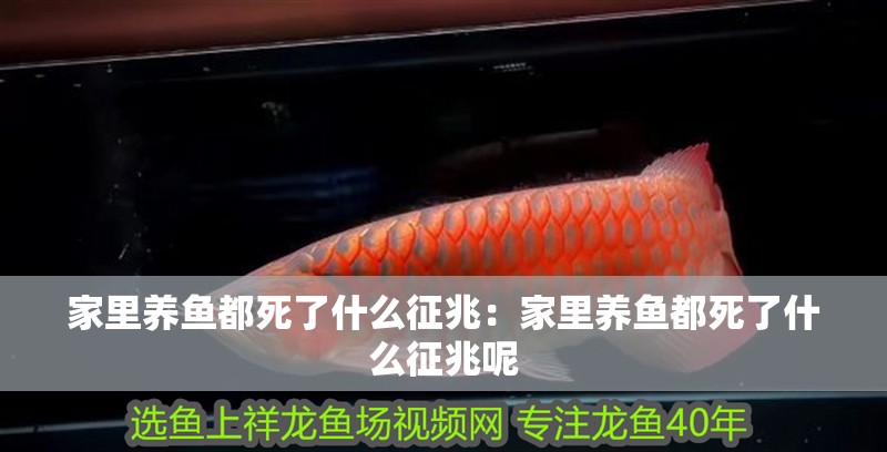 家里養魚都死了什么征兆：家里養魚都死了什么征兆呢