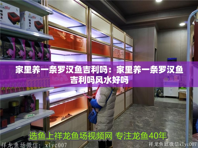家里養(yǎng)一條羅漢魚(yú)吉利嗎：家里養(yǎng)一條羅漢魚(yú)吉利嗎風(fēng)水好嗎