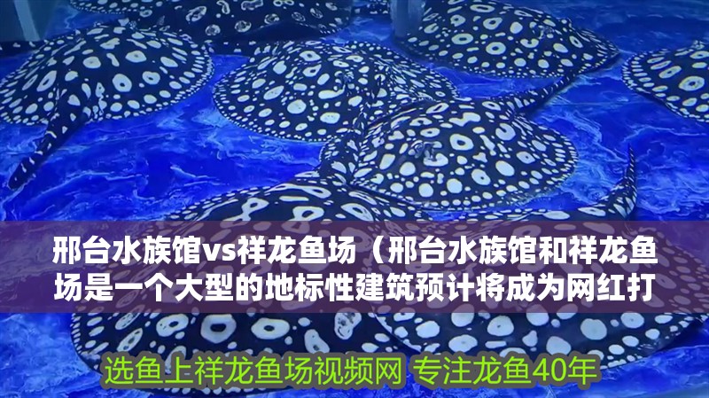 邢臺水族館vs祥龍魚場（邢臺水族館和祥龍魚場是一個大型的地標性建筑預計將成為網紅打卡地）