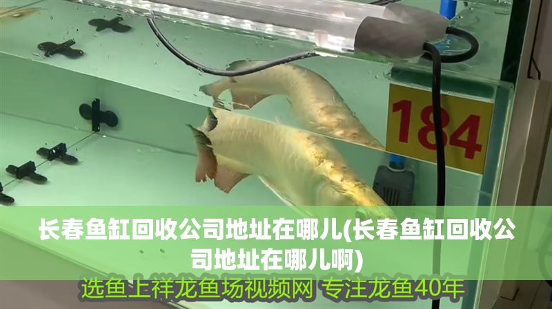 長春魚缸回收公司地址在哪兒(長春魚缸回收公司地址在哪兒啊)