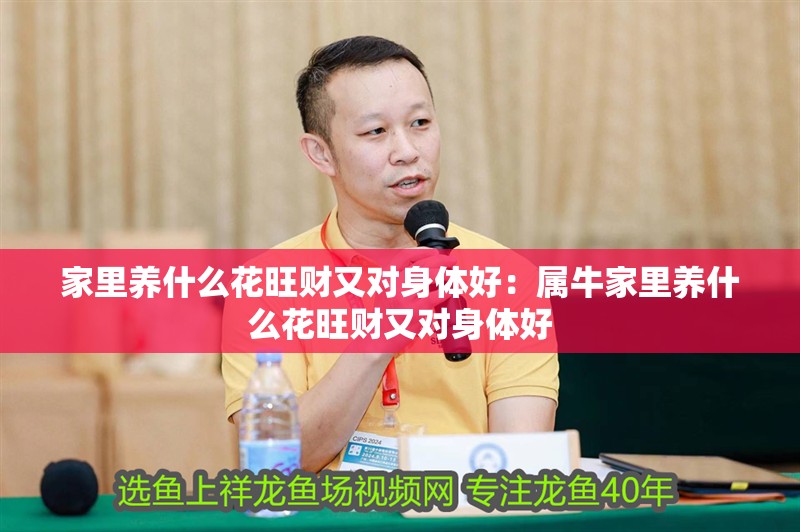 家里養什么花旺財又對身體好：屬牛家里養什么花旺財又對身體好