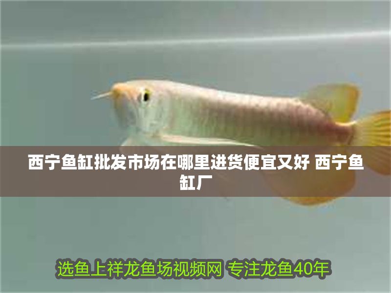 西寧魚(yú)缸批發(fā)市場(chǎng)在哪里進(jìn)貨便宜又好 西寧魚(yú)缸廠