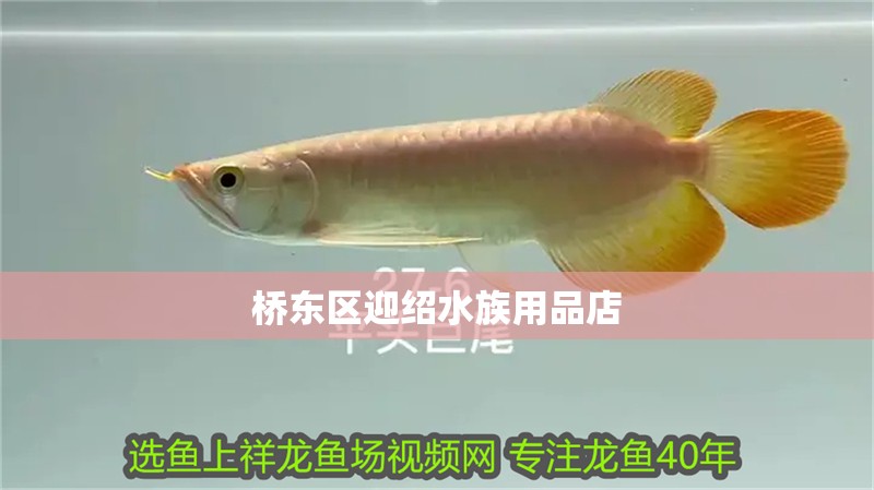 橋東區迎紹水族用品店