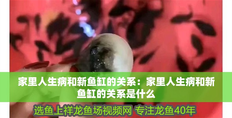 家里人生病和新魚缸的關系：家里人生病和新魚缸的關系是什么