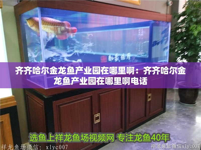 齊齊哈爾金龍魚產業園在哪里啊：齊齊哈爾金龍魚產業園在哪里啊電話