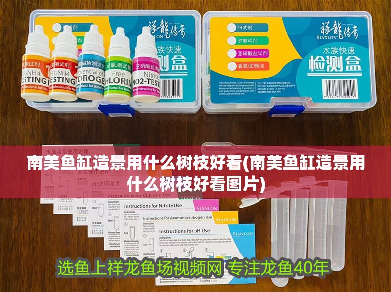 南美魚缸造景用什么樹枝好看(南美魚缸造景用什么樹枝好看圖片)
