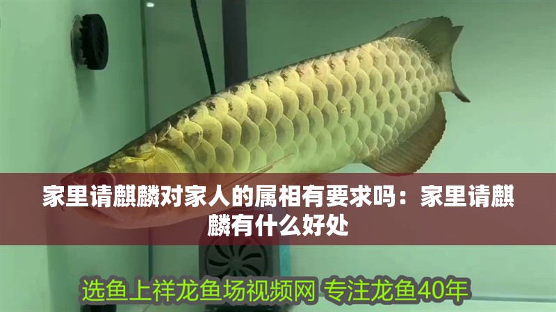 家里請(qǐng)麒麟對(duì)家人的屬相有要求嗎：家里請(qǐng)麒麟有什么好處