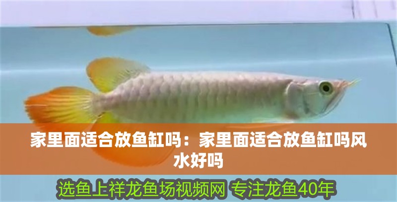 家里面適合放魚缸嗎：家里面適合放魚缸嗎風水好嗎
