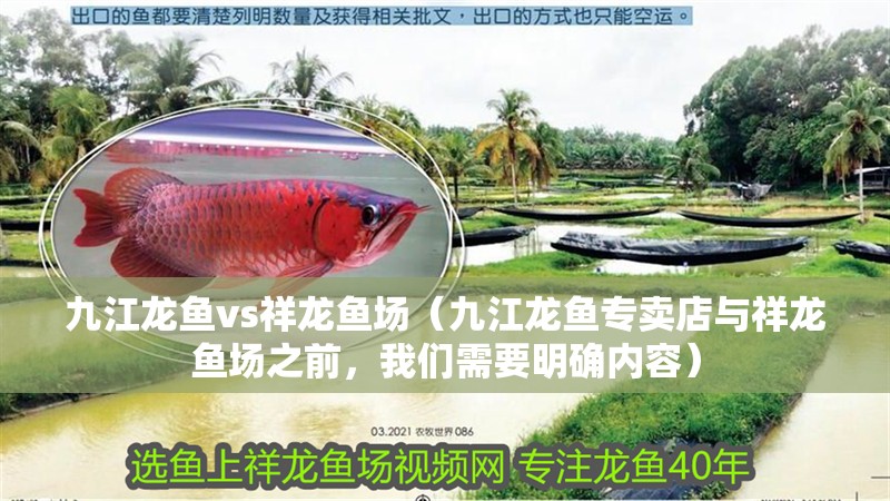 九江龍魚vs祥龍魚場（九江龍魚專賣店與祥龍魚場之前，我們需要明確內容）