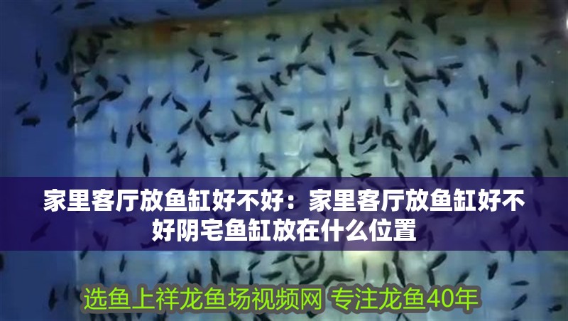 家里客廳放魚缸好不好：家里客廳放魚缸好不好陰宅魚缸放在什么位置